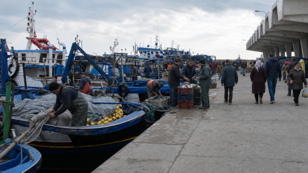 Pescherecci blu e pescatori sulla banchina di Kelibia